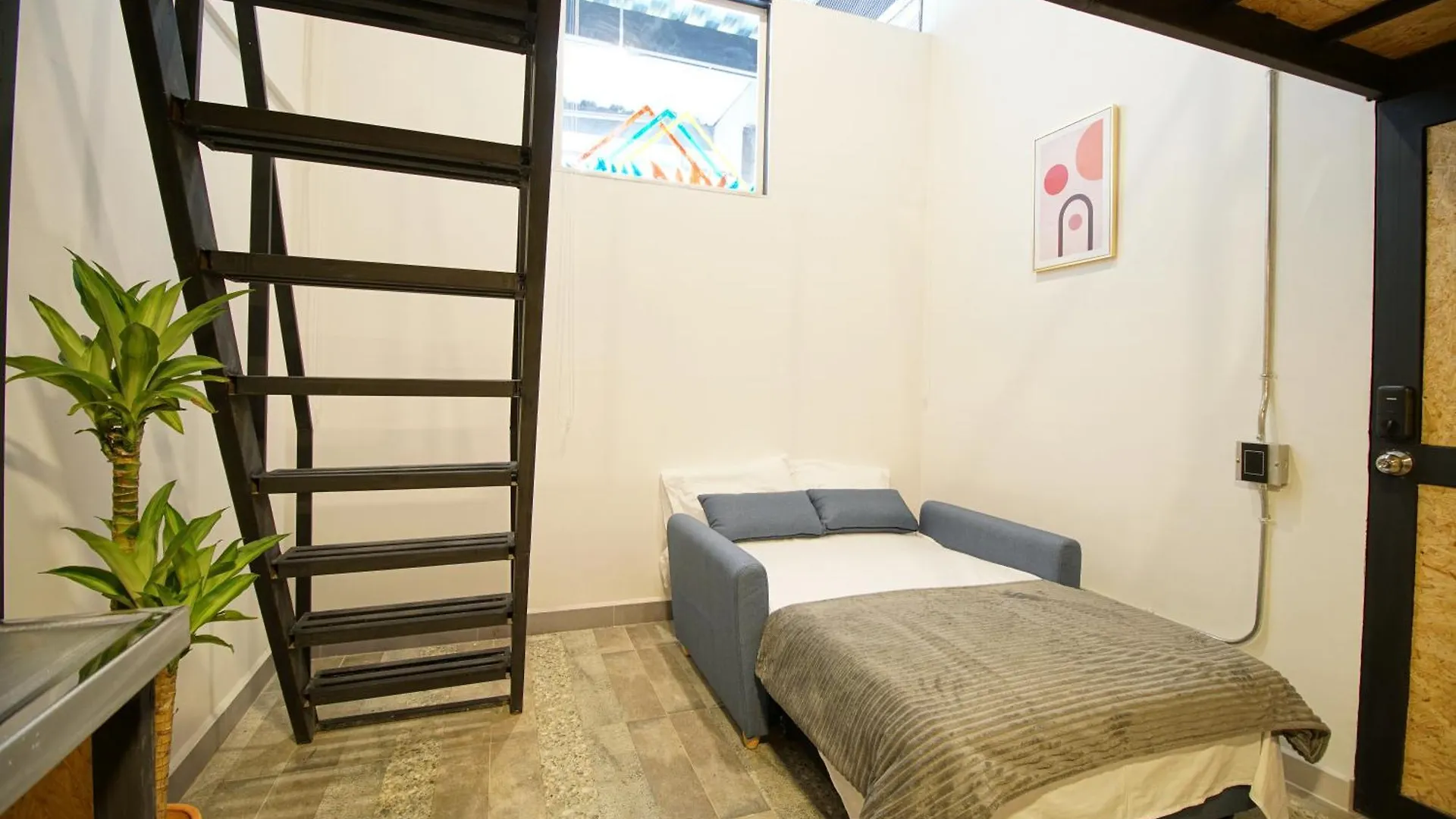 Apartamentos Medeliving Laureles-Estadio 메딜린 0*,